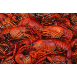 Boiled Crawfish 15lb - Already Cooked - Just Re-He...