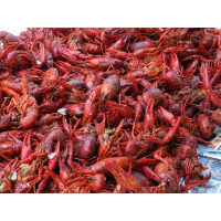 Boiled Crawfish 5lb - Already Cooked - Just Re-Hea...