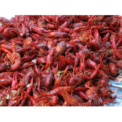 Boiled Crawfish 5lb - Already Cooked - Just Re-Hea...