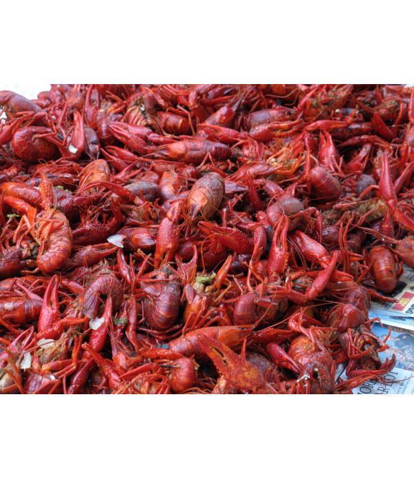 Boiled Crawfish 15lb - Already Cooked - Just Re-Heat