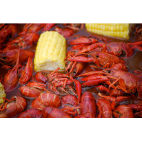 Boiled Crawfish 25lb - Already Cooked - Just Re-He...