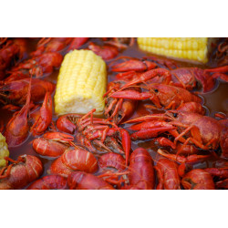Boiled Crawfish 25lb - Already Cooked - Just Re-Heat