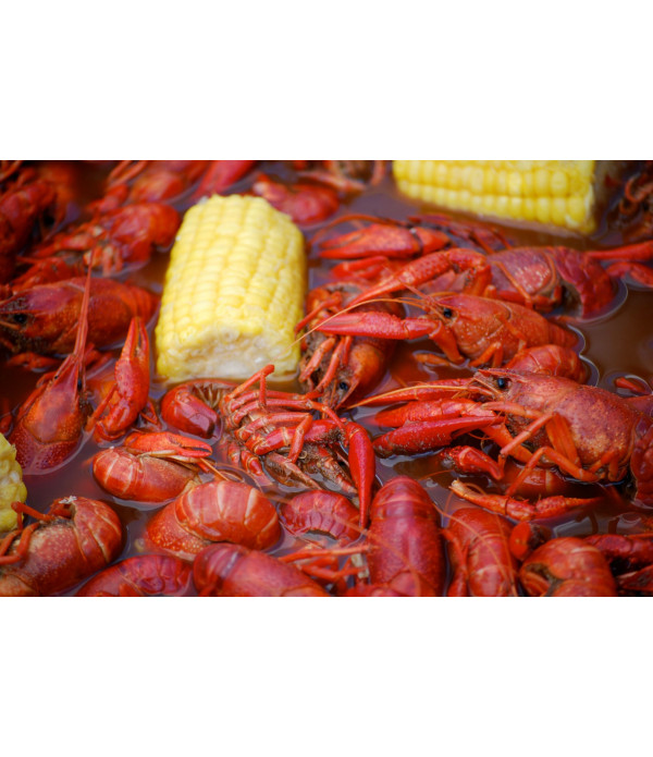 Boiled Crawfish 25lb - Already Cooked - Just Re-Heat