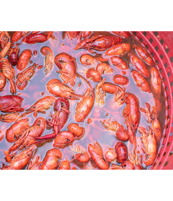 Spicy and Flavorful Louisiana Fish Fry Crawfish Crab & Shrimp Boil Liquid - 16oz
