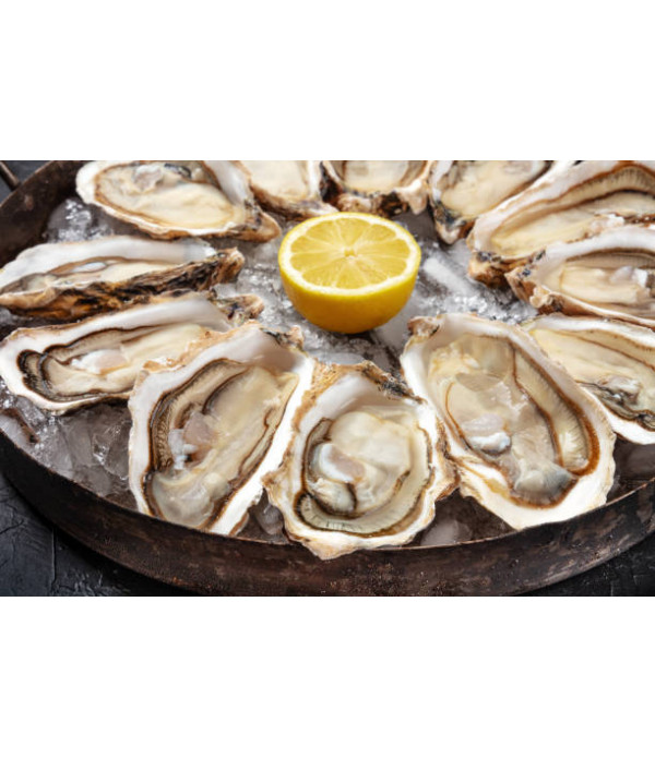 Freshly Shucked Louisiana Oysters - The Best in the World